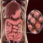 Gastroenterology Specialist