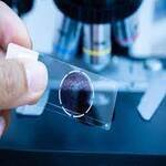 Pathology Specialist