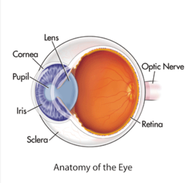 Cataracts